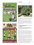 Page: - 118 | High Times