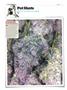 Page: - 136 | High Times