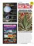 Page: - 140 | High Times