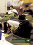 Page: - 17 | High Times