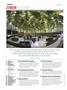 Page: - 6 | High Times