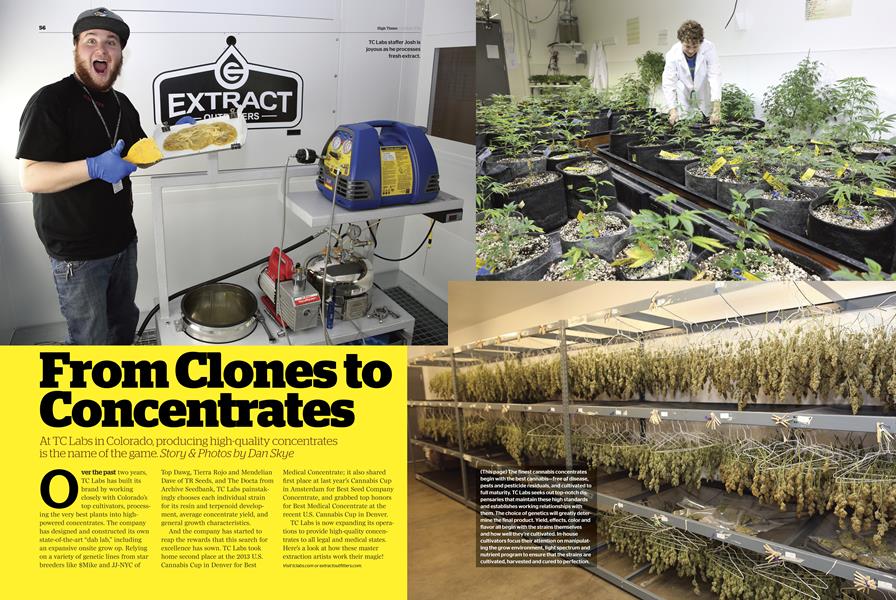 From Clones to Concentrates
