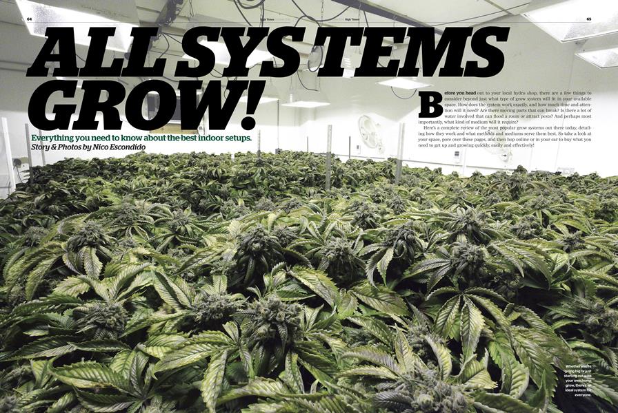 ALL SYS TEMS GROW!