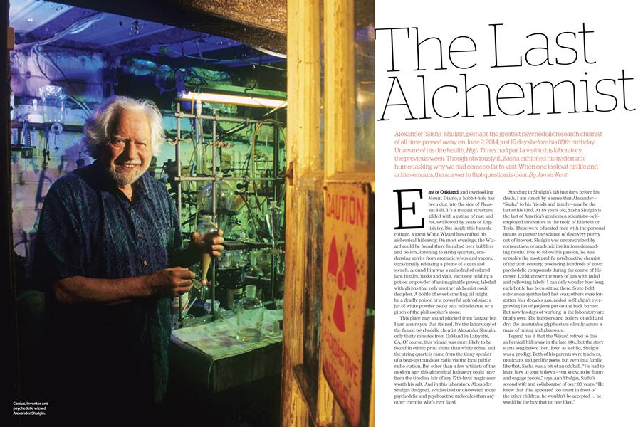 The Last Alchemist