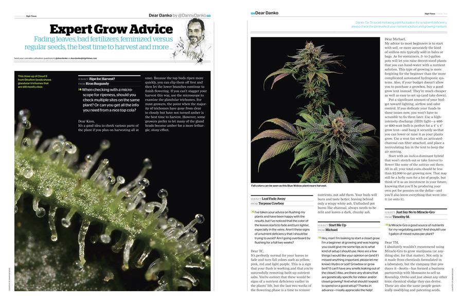 Expert Grow Advice