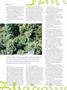 Page: - 106 | High Times
