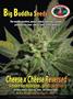Page: - 11 | High Times