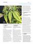 Page: - 128 | High Times