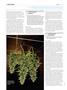 Page: - 132 | High Times
