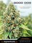 Page: - 157 | High Times