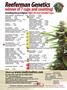 Page: - 162 | High Times