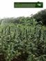 Page: - 21 | High Times