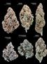Page: - 22 | High Times