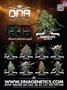 Page: - 33 | High Times