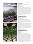 Page: - 72 | High Times