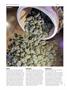 Page: - 94 | High Times