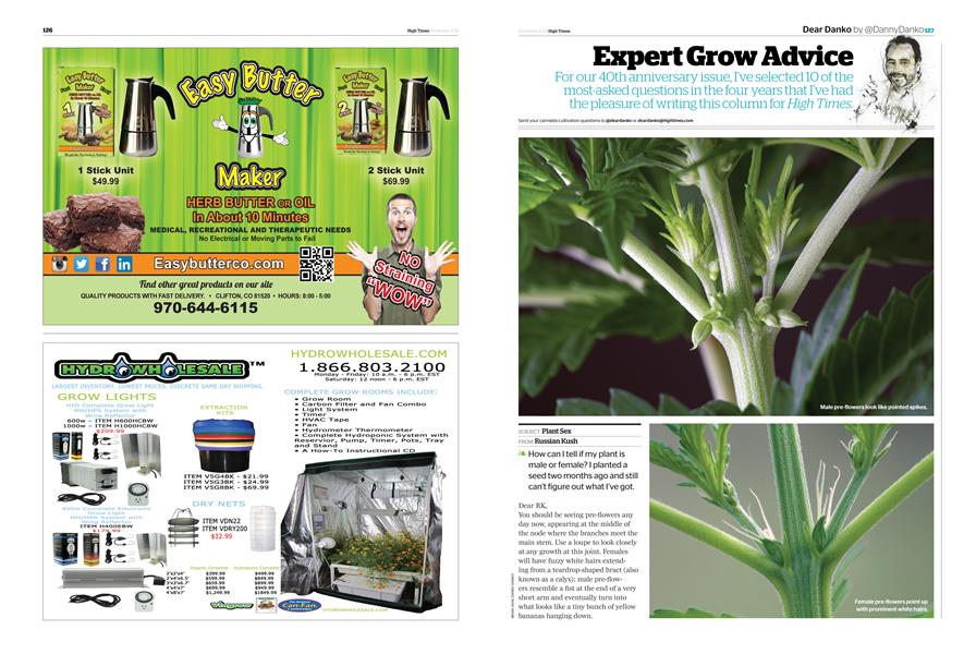Expert Grow Advice