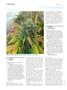Page: - 122 | High Times