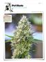 Page: - 144 | High Times