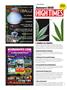Page: - 148 | High Times