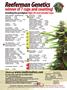 Page: - 158 | High Times