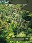 Page: - 17 | High Times
