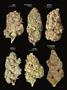 Page: - 18 | High Times