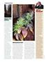 Page: - 26 | High Times
