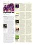 Page: - 36 | High Times