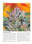 Page: - 58 | High Times