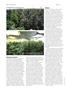 Page: - 64 | High Times