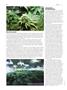 Page: - 66 | High Times