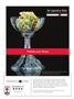 Page: - 7 | High Times