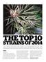 Page: - 71 | High Times