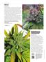 Page: - 84 | High Times