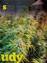 Page: - 89 | High Times