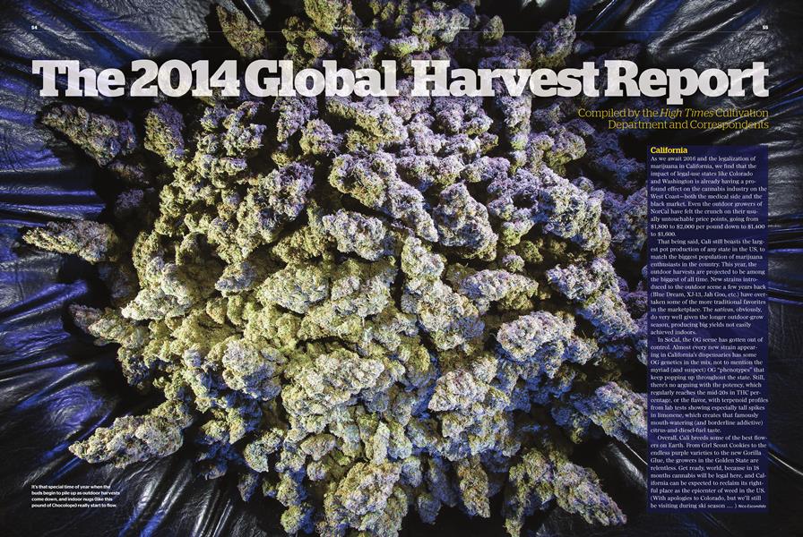 The 2014 Global Harvest Report