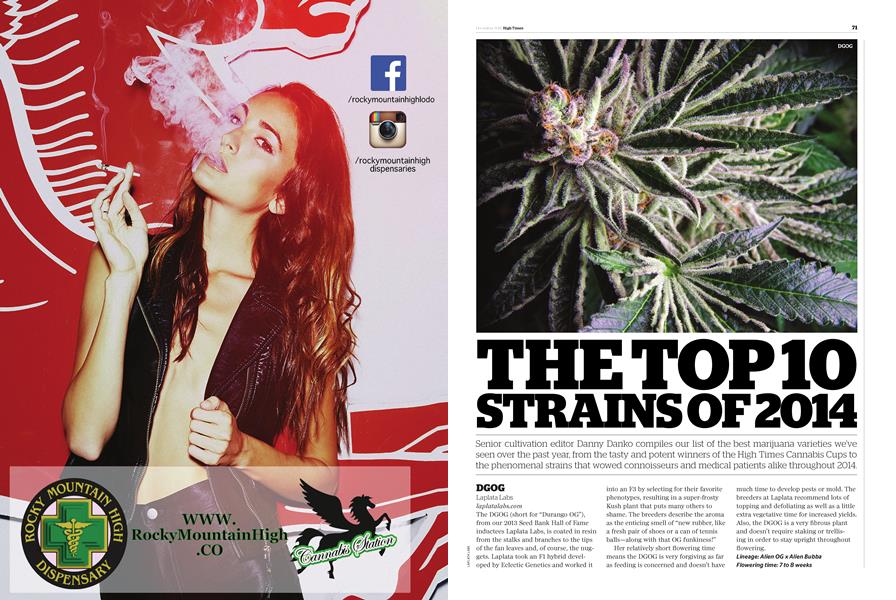 THE TOP 10 STRAINS OF 2014