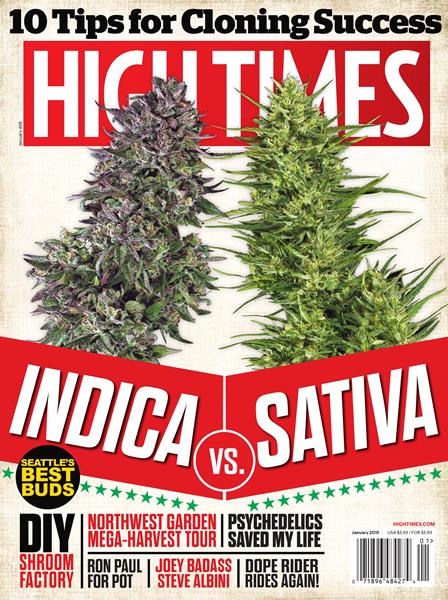 Issue: - January 2015 | High Times