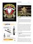 Page: - 124 | High Times