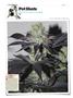 Page: - 144 | High Times