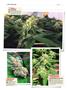 Page: - 146 | High Times