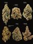 Page: - 18 | High Times