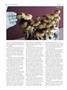 Page: - 66 | High Times