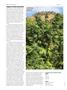Page: - 74 | High Times