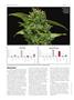 Page: - 84 | High Times