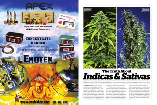 The Truth About Indicas & Sativas