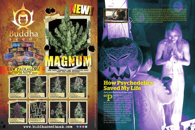 How Psychedelice Saved My Life