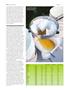 Page: - 102 | High Times