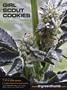 Page: - 106 | High Times
